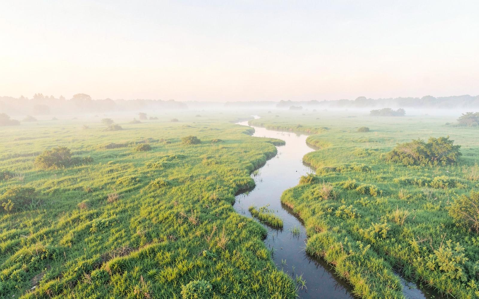 Flusslandschaft mit grünen Wiesen im Morgennebel